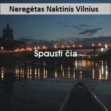 Naktinis plaukimas baidarėmis Nerimi